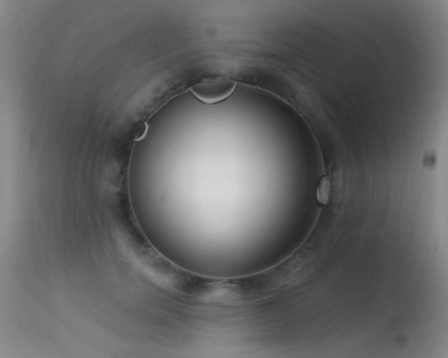X0000113270750200909171713