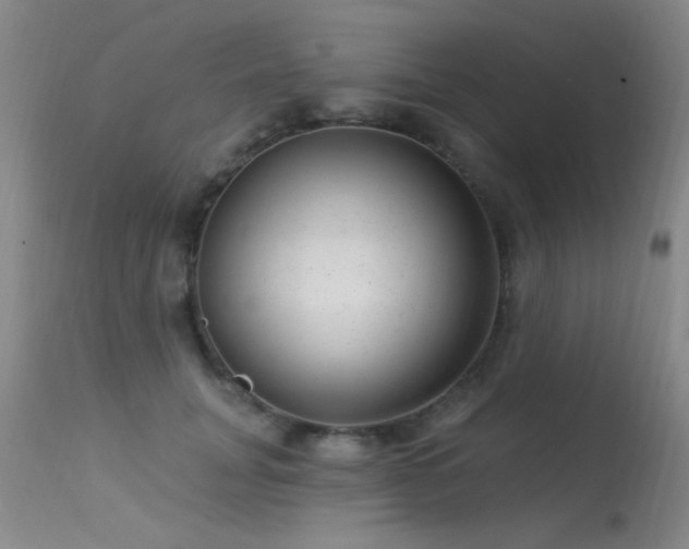 X0000113270751200909171713
