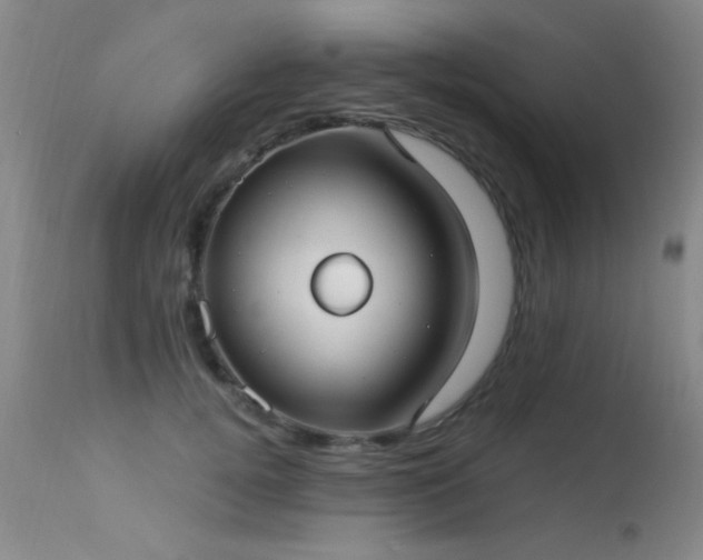 X0000113270752200909171713