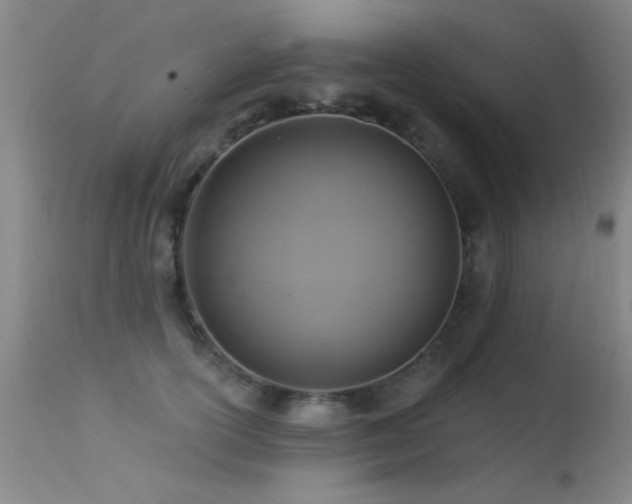 X0000113270754200909171713