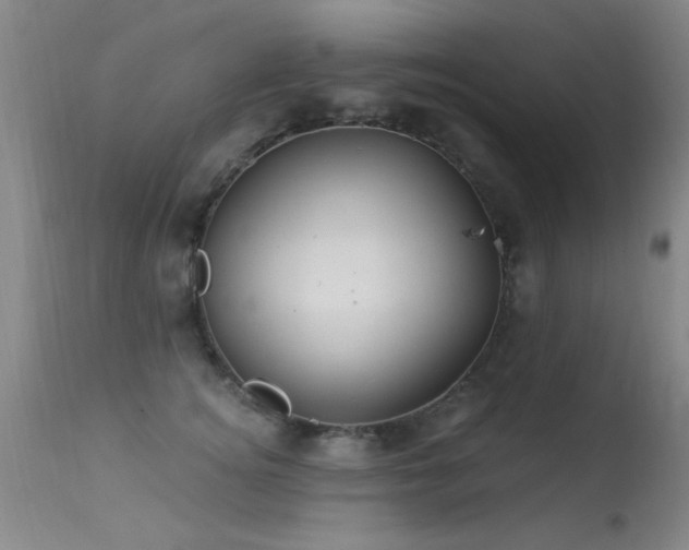 X0000113270756200909171713