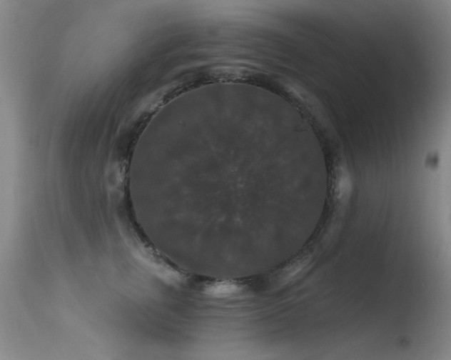X0000113270759200909171713