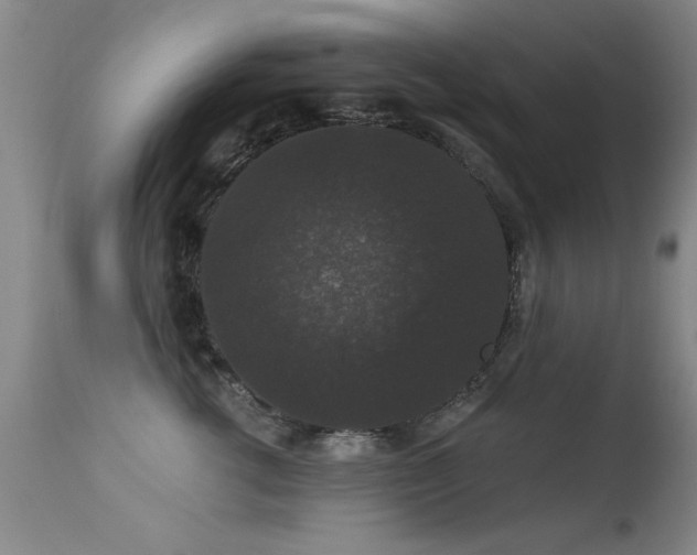 X0000113270762200909171713