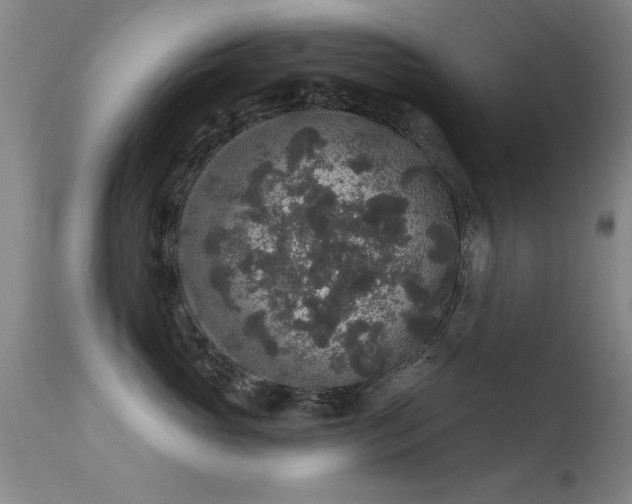 X0000113270765200909171713