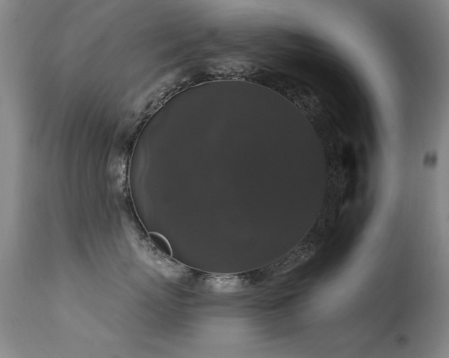 X0000113270767200909171713