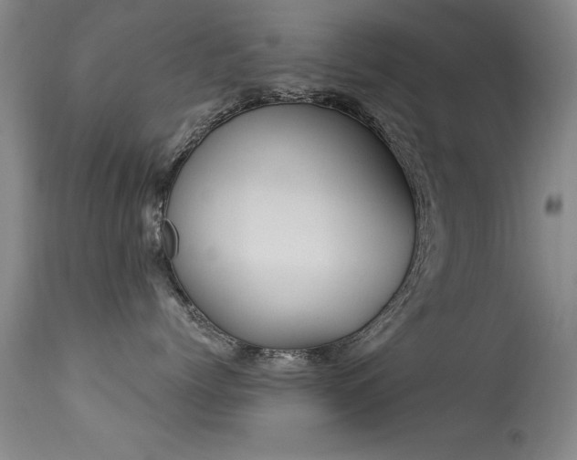 X0000113270768200909171714