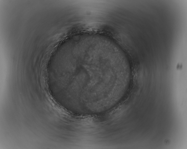 X0000113270769200909171713