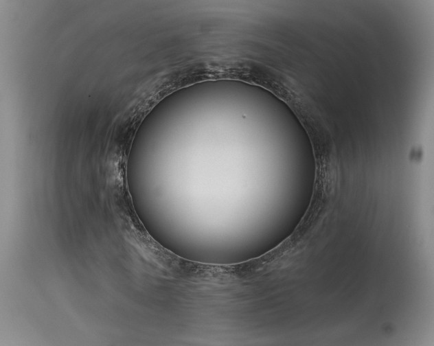 X0000113270770200909171713