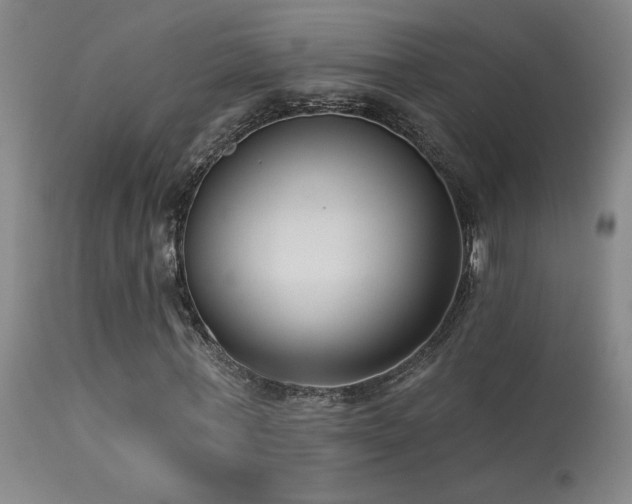 X0000113270771200909171713