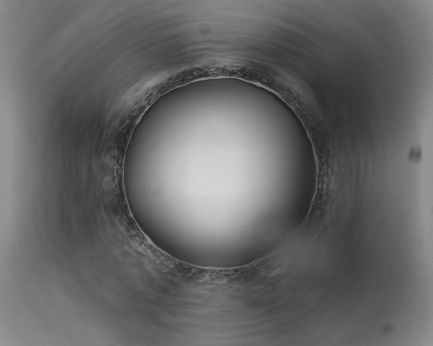 X0000113270773200909171713