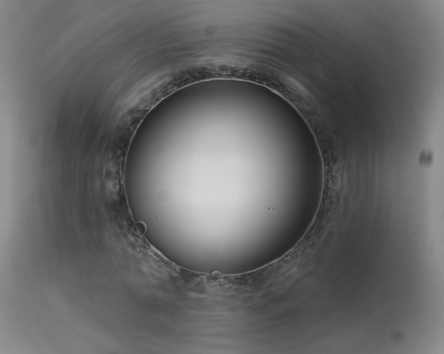 X0000113270774200909171713