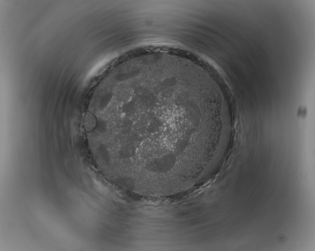 X0000113270775200909171713