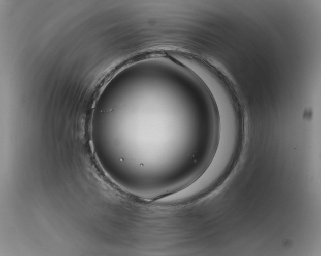X0000113270777200909171713
