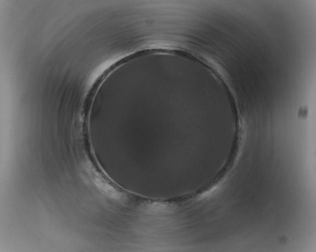 X0000113270779200909171713