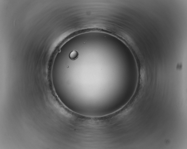 X0000113270780200909171713