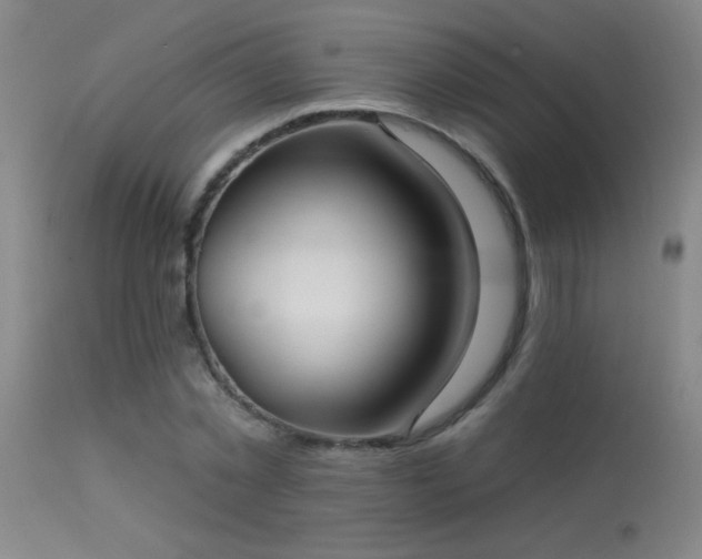 X0000113270781200909171713