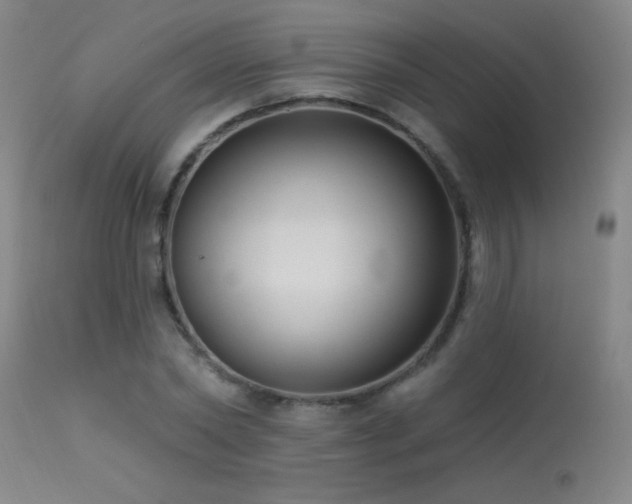X0000113270782200909171713