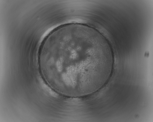 X0000113270784200909171713