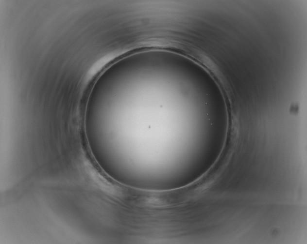 X0000113270787200909171712