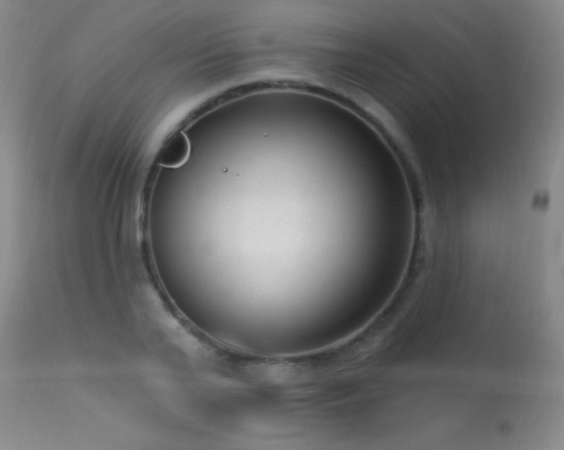 X0000113270791200909171712