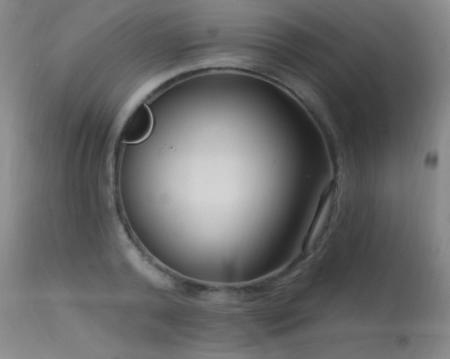 X0000113270792200909171712