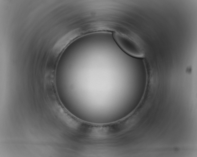 X0000113270793200909171712