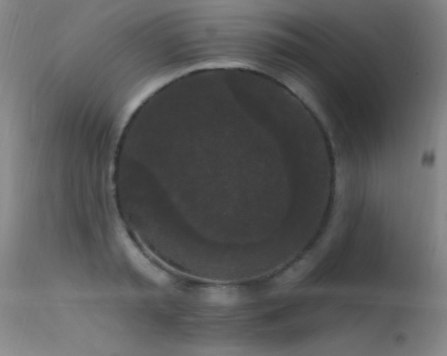 X0000113270797200909171712