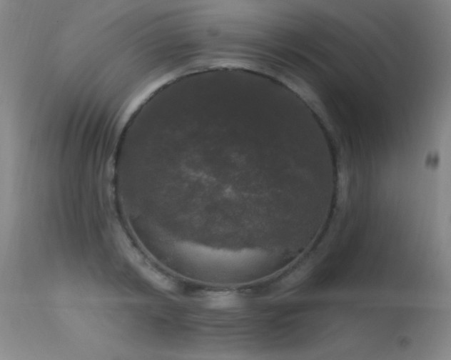 X0000113270798200909171712