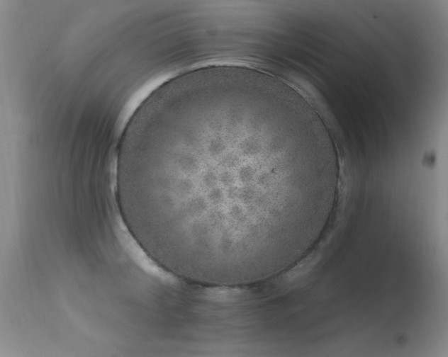 X0000113270804200909171712