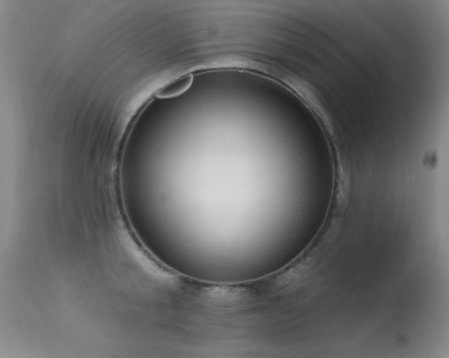 X0000113270805200909171712