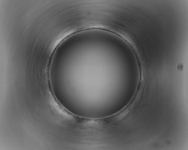 X0000113270806200909171712