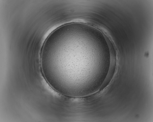X0000113270808200909171712