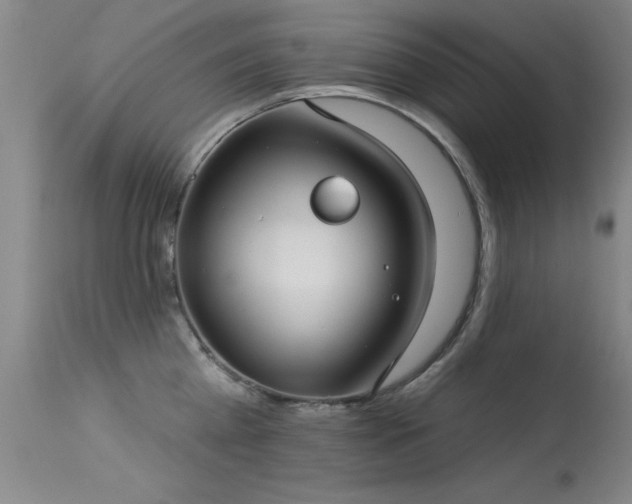 X0000113270809200909171712