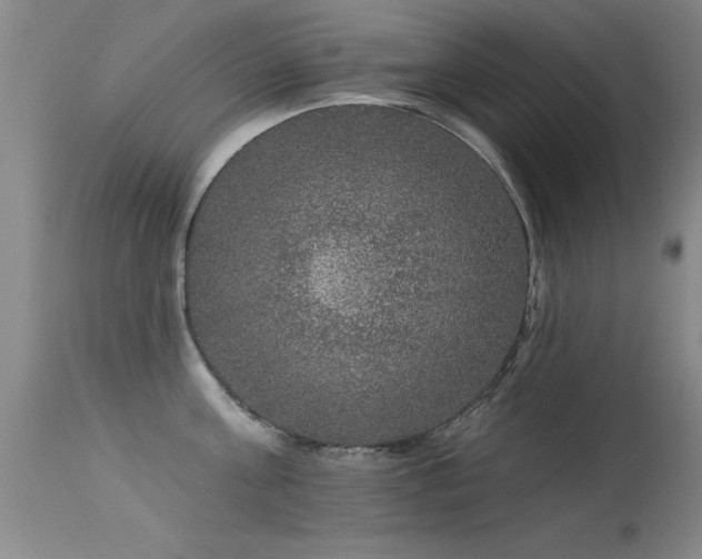 X0000113270811200909171712