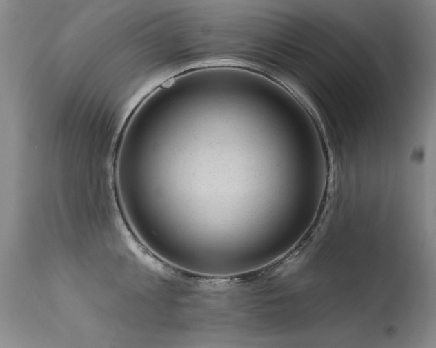 X0000113270813200909171712