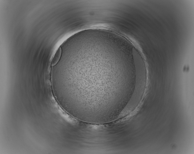 X0000113270816200909171712