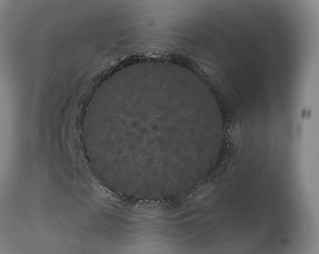 X0000113270817200909171711