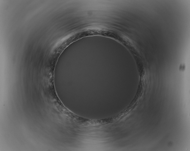 X0000113270822200909171711