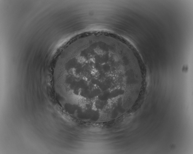 X0000113270823200909171711