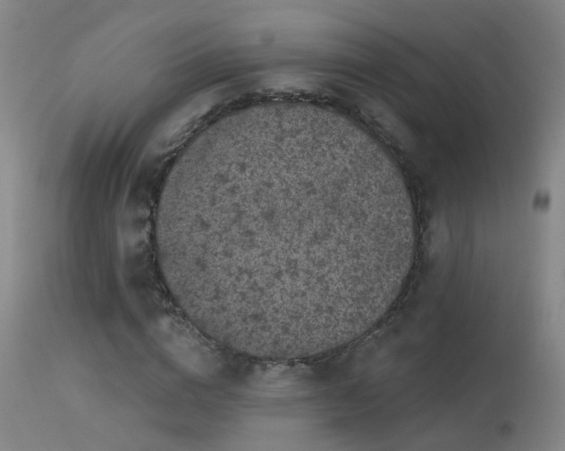 X0000113270824200909171711