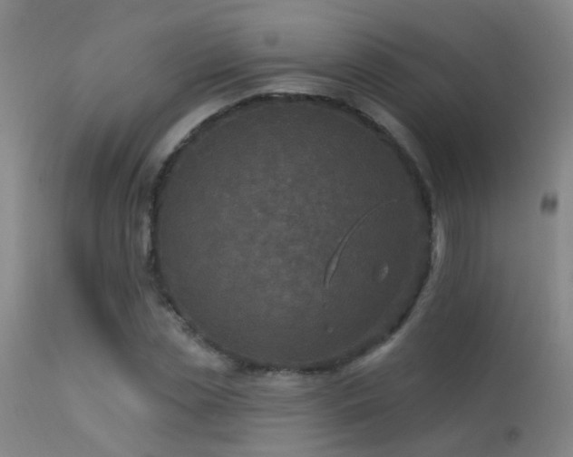 X0000113270829200909171711