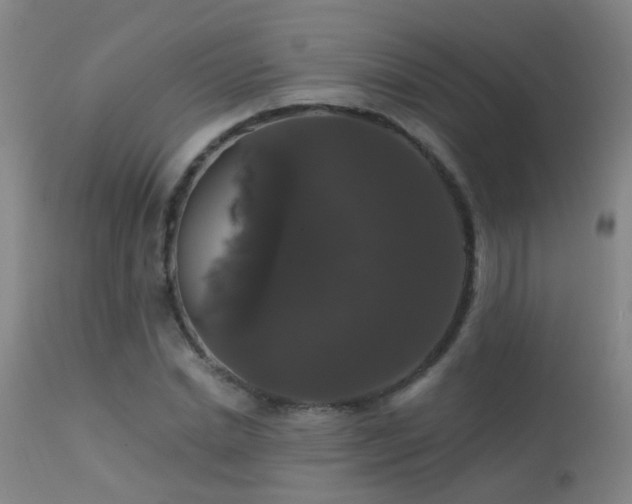 X0000113270830200909171711