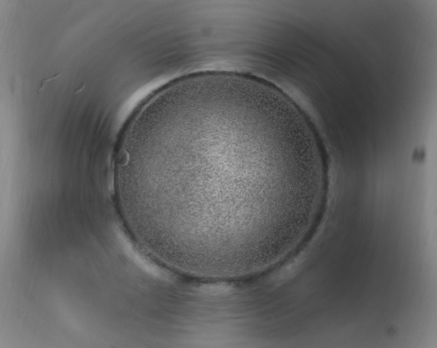 X0000113270838200909171712
