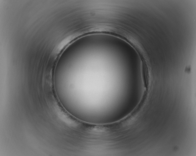 X0000113270842200909171712