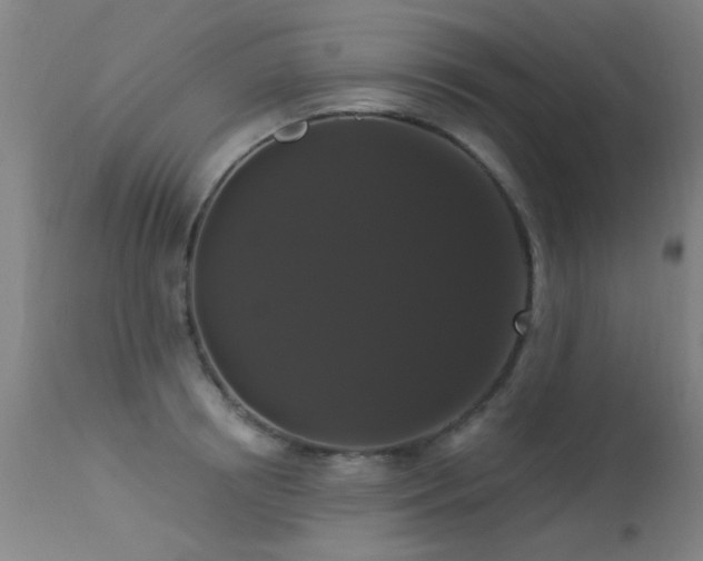 X0000113270850200909171712