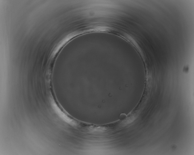 X0000113270851200909171712