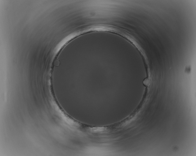 X0000113270853200909171712