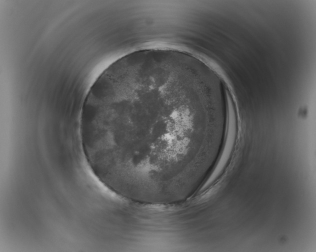 X0000113270855200909171712