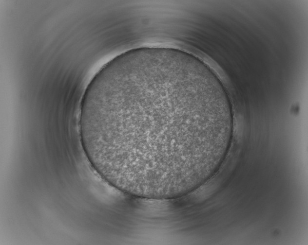 X0000113270856200909171712