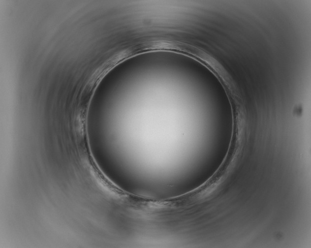 X0000113270857200909171712